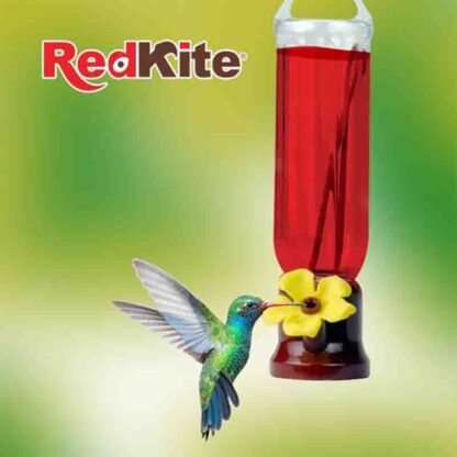 bebedero colibri